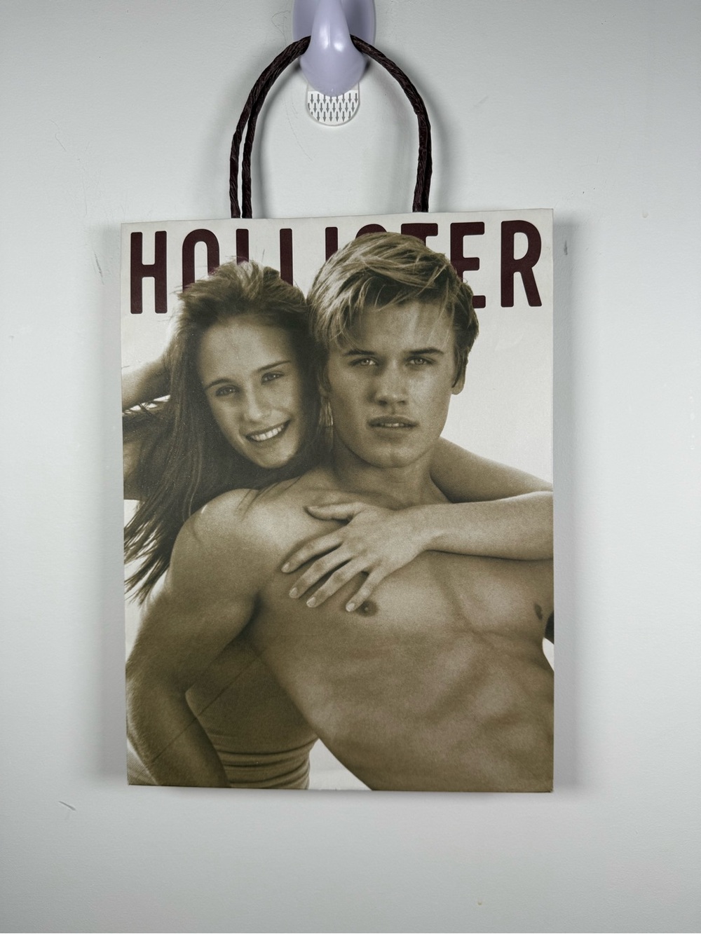 ✨ HOLLISTER | Y2K Paper Shopping Bag
